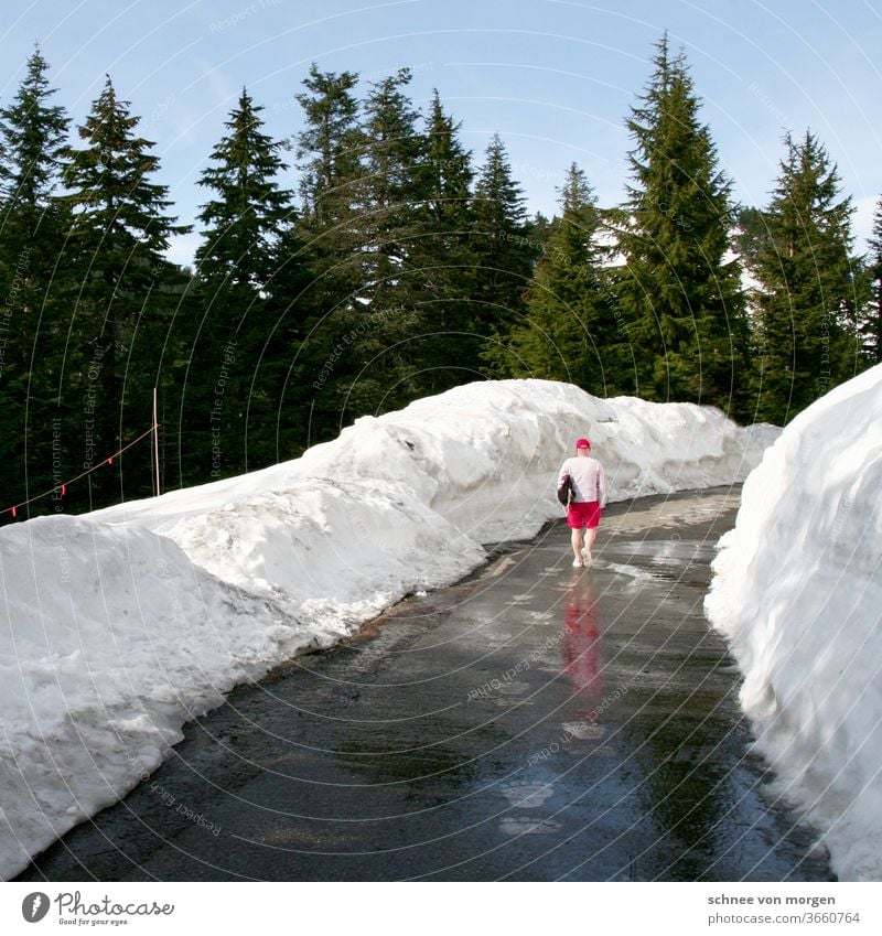 in den kanadischen flaggenfarben Vancouver kanada schnee urlaub ferien ski skifahren berge mountains rot weiß landschaft tannen amerika weg gehen