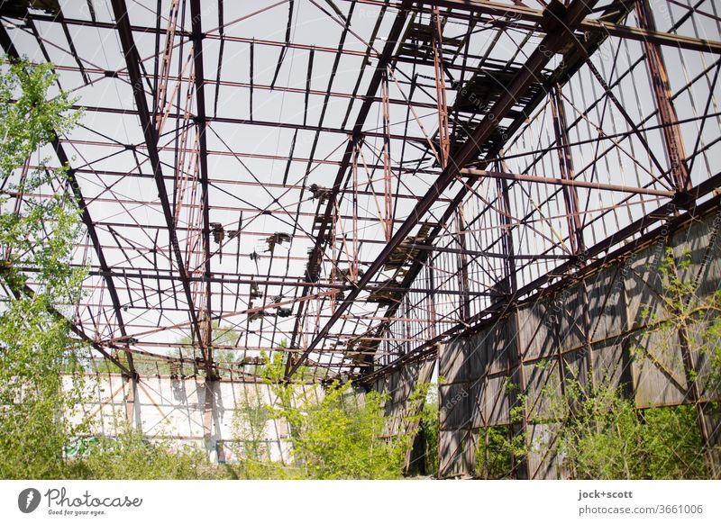 rostiger verfallener Hangar, wird immer grüner lost places Birke Zerstörung Renaturierung Kontrast Streben Strukturen & Formen Endzeitstimmung Sonnenlicht