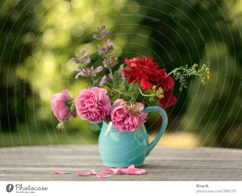 GartenBlumenStrauß Sommer Schönes Wetter Blühend verblüht natürlich grün rosa rot türkis Stimmung Lebensfreude Vase Rosenblüte Rosenblätter Gartentisch