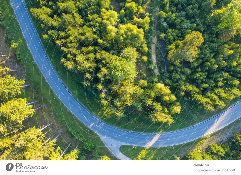 Ein Blick von Oben wald landstrass drohne luftaufnahme grün Luftaufnahme Drohne Vogelperspektive Natur Farbfoto Außenaufnahme Landschaft Baum Umwelt Sommer