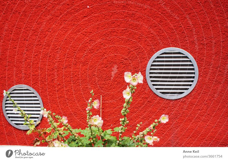 Die orangerote Hausfassade mit den runden silbernen Lüftungsgittern brachte sie zum staunen. Dazu die schönen Blumen liess sie verweilen. Orangerot Farbfoto