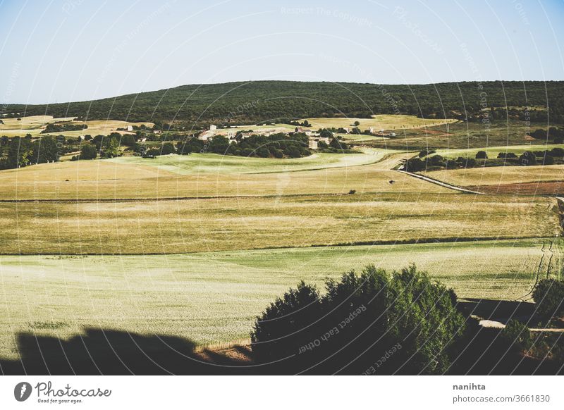 Landschaft auf dem Land in Spanien Bereiche Feldfrüchte Zerealien Ackerbau Wald Landleben Landseite leeres Spanien keine Menschen niemand ländlich rustikal