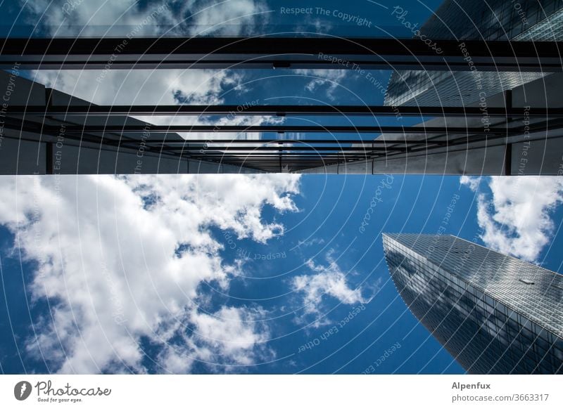 Berührungspunkte | Architektur und Natur wolkenkratzer Hochhaus Hochhausfassade Fassade Stadt Fenster Außenaufnahme Farbfoto Gebäude Bauwerk Himmel Menschenleer