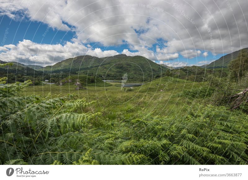 Landschaft in den western highlands. Schottland scotland Bucht Glenfinnan Meer Natur Monument Strand Küste England Loch Shiel Ozean Sandstrand wildnis