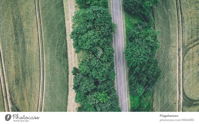 Feld Wald Straße Feldrand Feldarbeit Feldflora Straßenverkehr Straßenbelag Straßenrand Straßenbahn bäume wald Luftbild Kornkreise