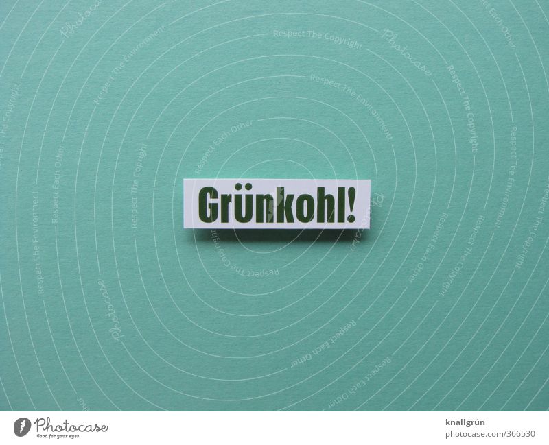 Grünkohl! Lebensmittel Gemüse Ernährung Mittagessen Vegetarische Ernährung Schriftzeichen Schilder & Markierungen Kommunizieren Gesundheit lecker grün Gefühle