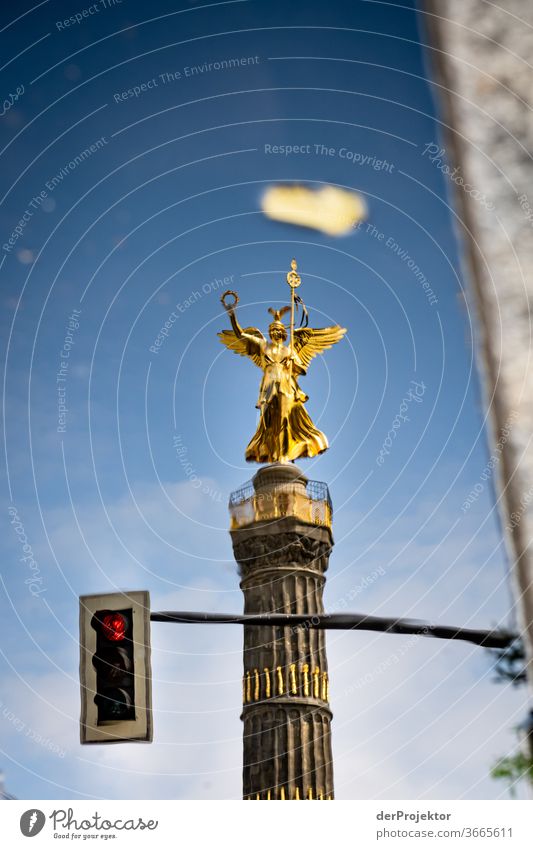 Siegessäule in einer Pfützenspiegelung mit Ampel (rot) Stadtzentrum Menschenleer Sehenswürdigkeit Wahrzeichen Denkmal Gold Statue Farbfoto Außenaufnahme