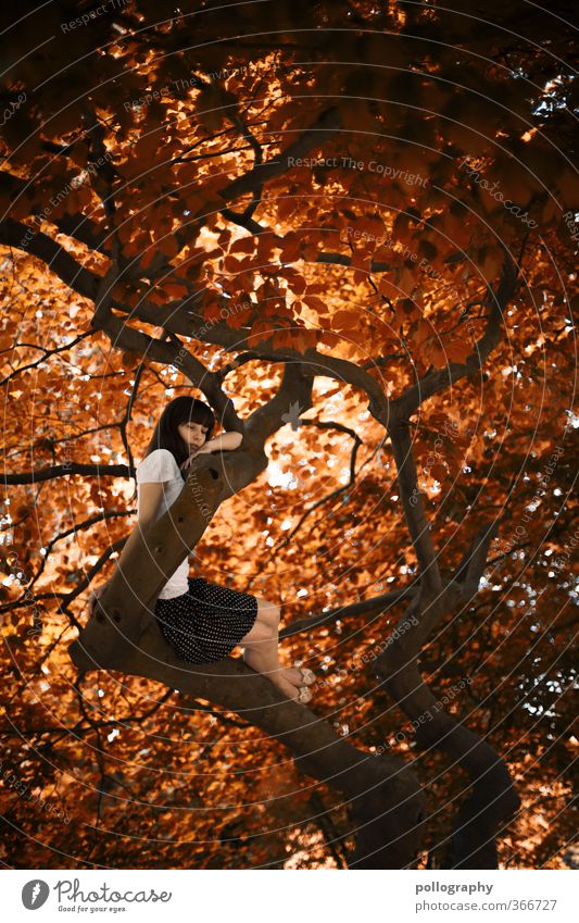 tree of life Mensch feminin Junge Frau Jugendliche Erwachsene Leben Körper 1 18-30 Jahre Umwelt Natur Pflanze Sommer Herbst Schönes Wetter Baum Grünpflanze Rock