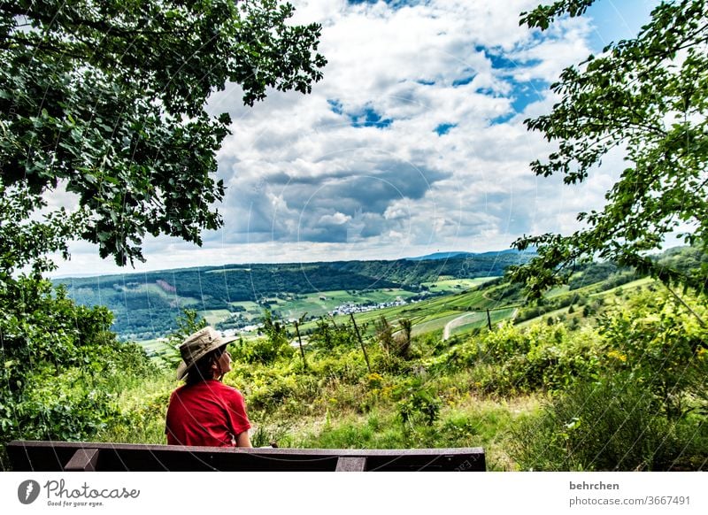 gute aussichten Weinberg Felder Kindheit Freiheit Ausflug Fernweh Farbfoto Bank weite Ferne Baum Deutschland Ferien & Urlaub & Reisen Himmel Wolken