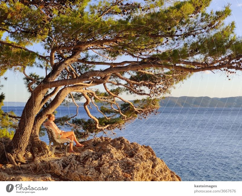 Frau entspannt sich in den Sommerferien, sitzt auf einer Bank unter einer Kiefer und beobachtet den Sonnenuntergang am Strand von Punta Rata, Brela, Dalmatien, Kroatien