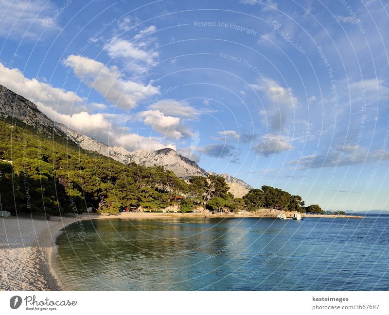 Schöner ruhiger Kiesstrand an der Adria, umgeben von Pinienbäumen in Brela, Dalmatien, Kroatien. Steinstrand Strand Kieselsteine Natur Farbfoto Küste Landschaft