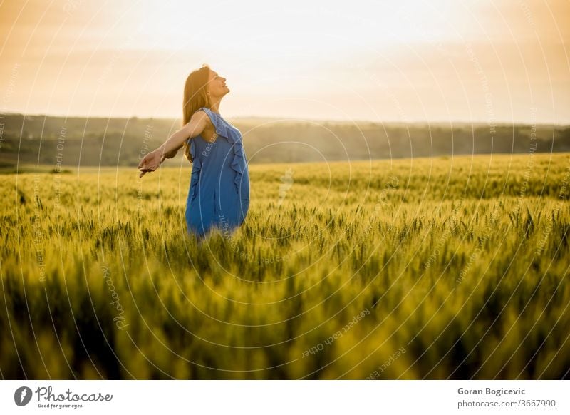 Junge schwangere Frau auf dem Feld Unterleib Erwachsener schön Schönheit Bauch blau brünett Kaukasier Tag Kleid erwartend Weiblichkeit Fruchtbarkeit Gras grün