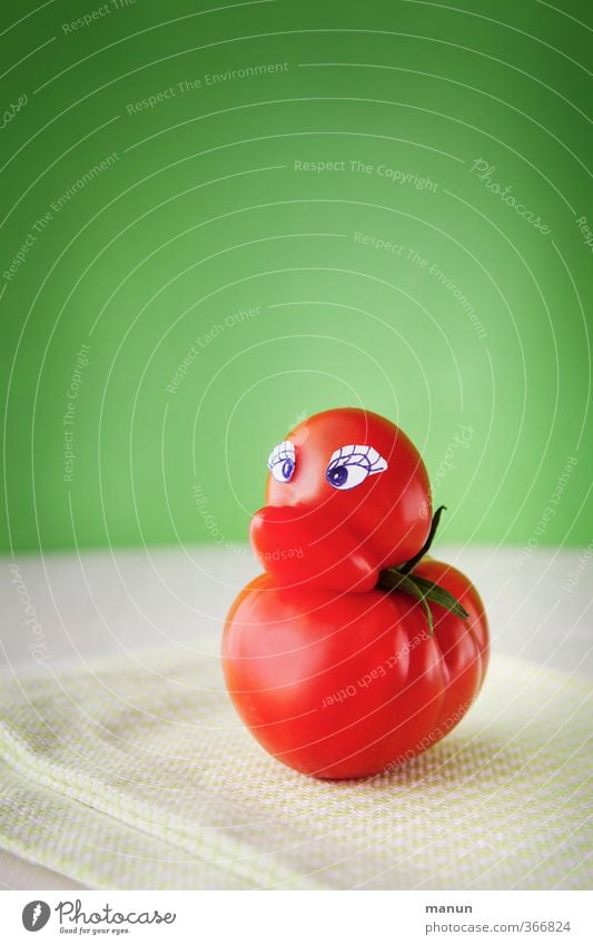 Tomatenente Lebensmittel Ente Ernährung Bioprodukte Vegetarische Ernährung Natur Tier Vogel Wachstum außergewöhnlich frisch Gesundheit lecker lustig natürlich