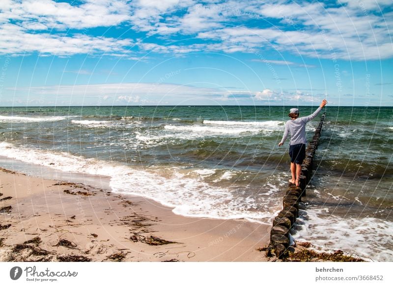 tag am meer Sohn weite Darß Meer Sehnsucht Fernweh Strand Farbfoto Außenaufnahme Wasser blau träumen Wellen Küste Ferien & Urlaub & Reisen