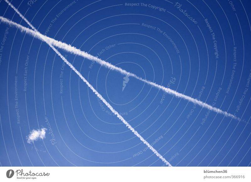 Blau-weiß gestreift . Luft nur Himmel Sommer Schönes Wetter fliegen blau Tourismus Ferien & Urlaub & Reisen Ferne Fernweh Urlaubsstimmung Urlaubsverkehr Linie