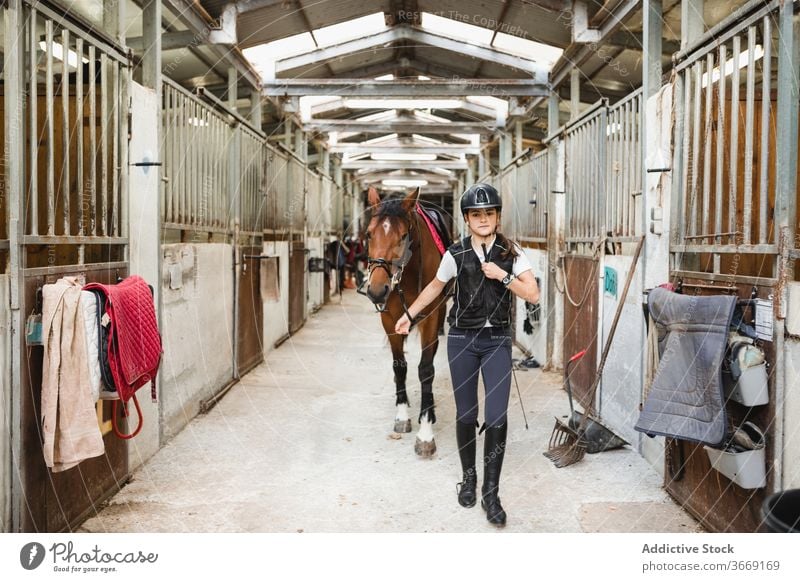 Weiblicher Jockey mit Pferd im Stall Reiterin Blei Frau Pferdestall Kastanie gehorsam Tier Dressur Pferderücken Training Zügel Zaumzeug pferdeähnlich Besitzer