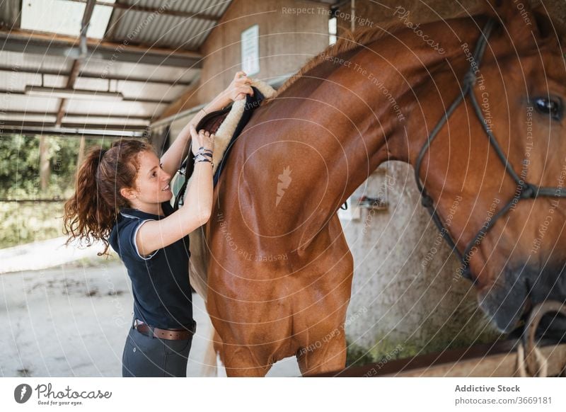 Junge Frau mit Pferd im Stall Reiterin Pferdestall Sattel vorbereiten Tier Dressur Jockey angezogen Zügel Gerät pferdeähnlich jung Konzentration ernst Kastanie