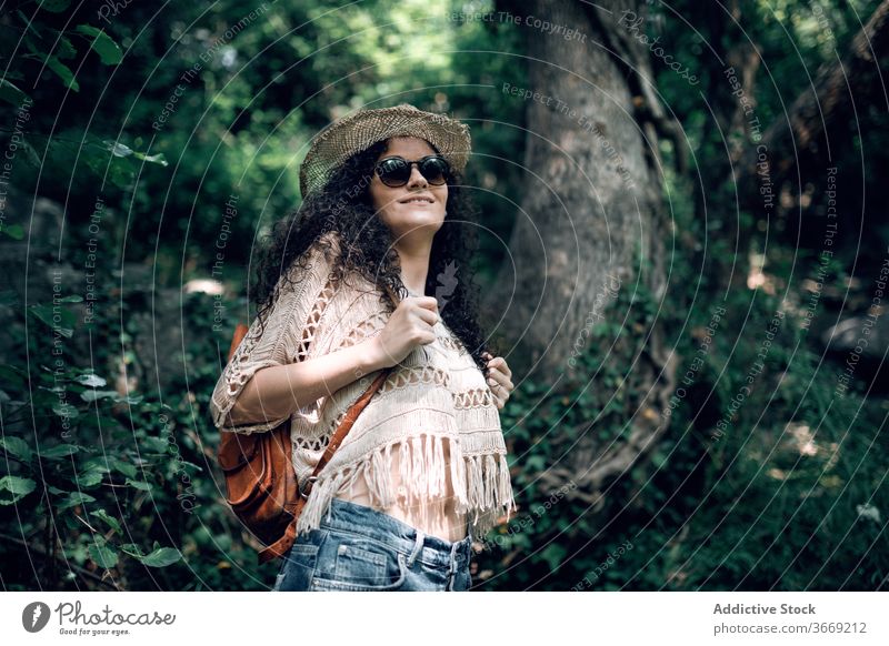 Seitenansicht einer Frau im Wald Spaziergang Natur Saison fallen Park nadelhaltig im Freien Bäume Landschaft natürlich Tourist Bewegung Rucksack Waldgebiet