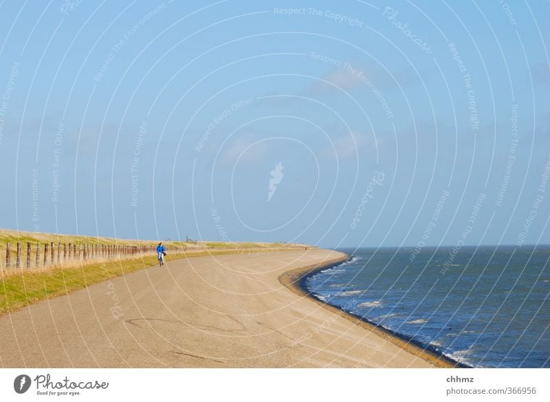 Gegenwind Leben Fahrradfahren Ferien & Urlaub & Reisen Tourismus Ausflug Sommer Meer Insel Niederlande 1 Mensch Landschaft Wasser Horizont Küste Nordsee