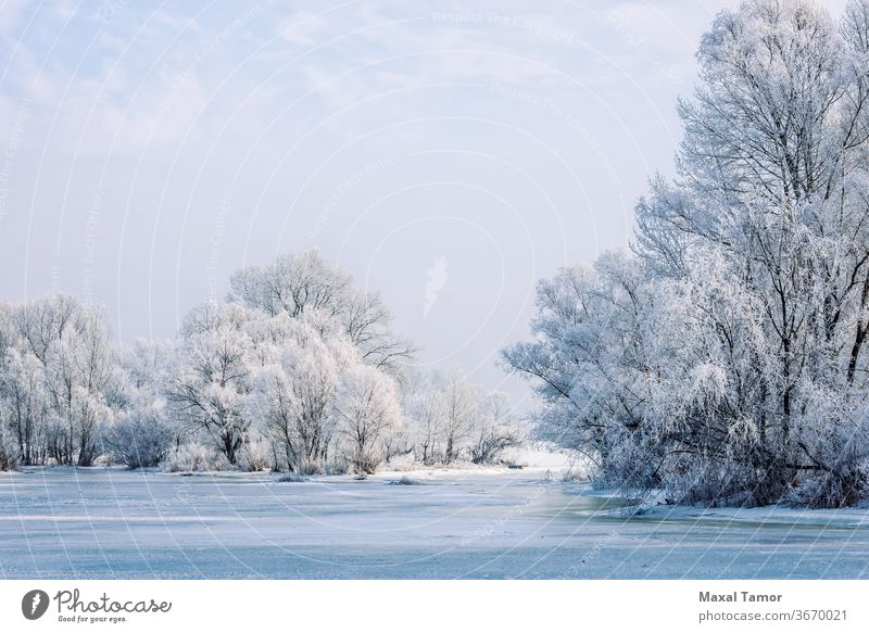 Gefrorenes Wasser, Schnee und Eis auf dem Dnjepr Dnjepr Fluss Kiew Ukraine blau Brechen Gebäude Großstadt kalt cool Craquelure Morgendämmerung Einfluss Frost