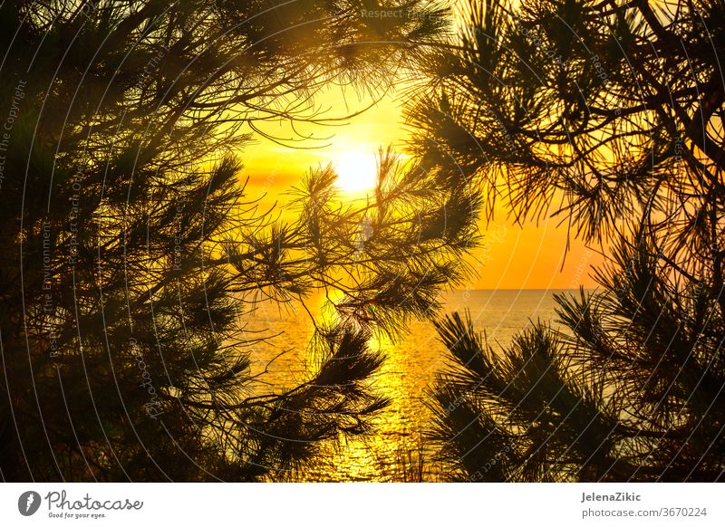 Wunderschöner Sonnenuntergang über dem Meer orange Wasser MEER Himmel Horizont Hintergrund Sonnenaufgang im Freien Sonnenlicht Sommer Strand Landschaft Natur