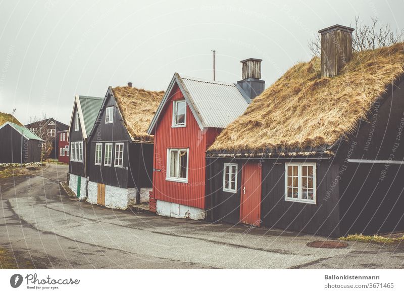 Island Inventar 38 Reetdach Reetdachhaus Strohdach Scb Schwedenhaus Häuserzeile diesig Hygge herbstlich Herbst