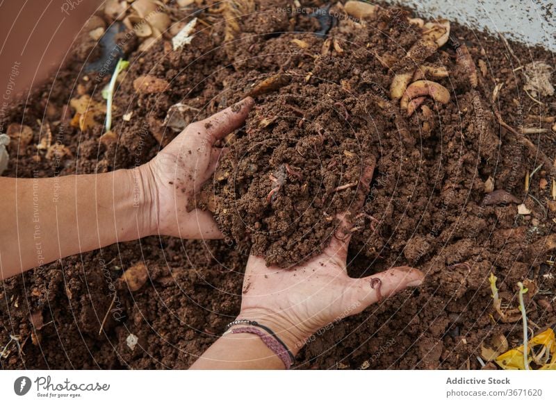 Gärtner nimmt Erde vom Komposthaufen Bauernhof Boden Landwirt Garten Haufen abbaubar Landschaft Kelle Natur Wurm ländlich organisch Botanik Schmutz Ackerland