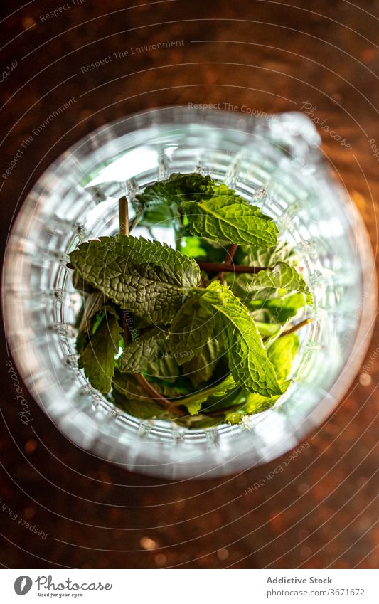 Minzblätter in Glasgefäß Tasse Minze Blatt frisch Tisch Bar Bestandteil Haufen natürlich organisch Zusammensetzung Pflanze Geschmack roh reif Produkt Flora