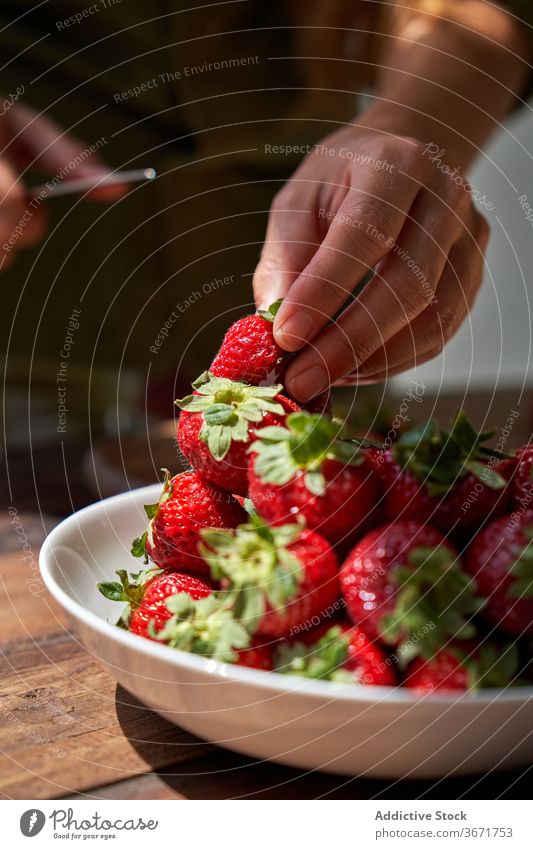 Crop Hausfrau bereitet leckeren Kuchen zu Hause Koch selbstgemacht Pasteten Frau Küche Dessert sich[Akk] schälen Erdbeeren vorbereiten Produkt Prozess frisch