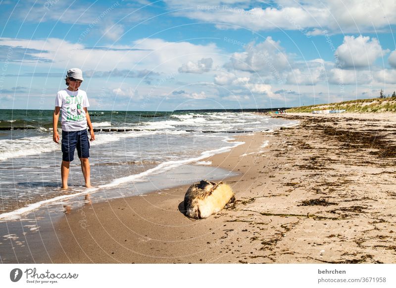 urks...freitagsfisch?! Deutschland Fischland-Darß Tourismus Ostseeküste Mecklenburg-Vorpommern Sommer Kindheit Ferien & Urlaub & Reisen Außenaufnahme Farbfoto