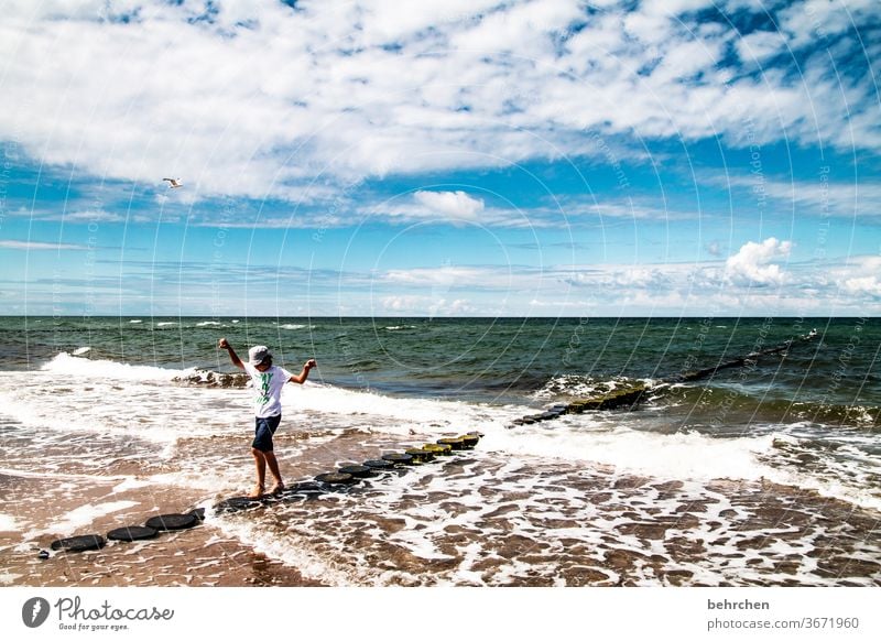 balanceakt weite Sehnsucht Fernweh träumen blau Himmel Ostsee Darß Meer Strand Wellen Wasser Natur Landschaft Küste Farbfoto Außenaufnahme