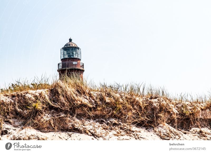 architektur und natur | leuchtturmliebe Strand Meer Düne Darß Ostsee Außenaufnahme Himmel Natur Landschaft Küste Farbfoto Ferien & Urlaub & Reisen Sommer