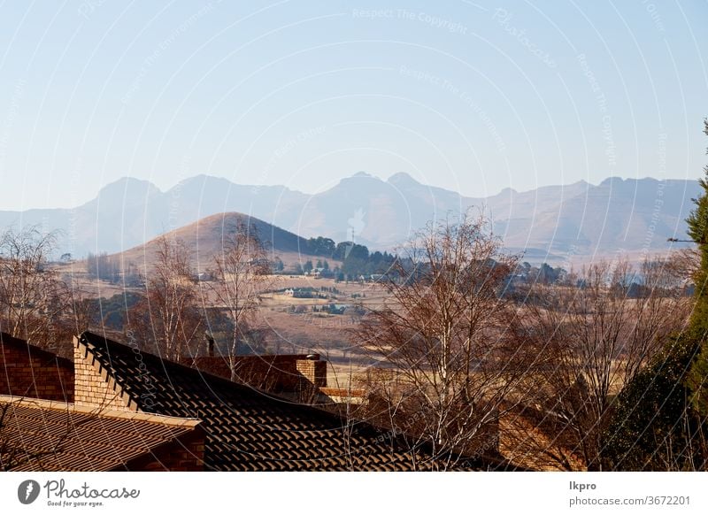 in der südafrikanischen Altstadt in der Nähe des Berges Afrika clarens Süden Feld Landschaft Berge u. Gebirge Bäume Himmel Herbst weiß Sommer Umwelt schön ruhig