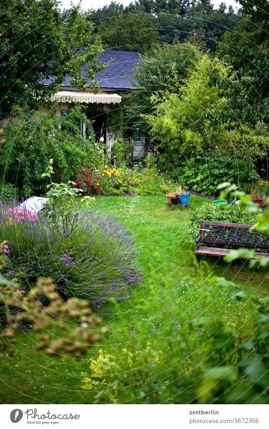 Gärtchen schrebergarten brombeere gartenhaus laube lavendel kleingartenkolonie baum blume blühen blüte erholung bank ferien gras himmel menschenleer natur