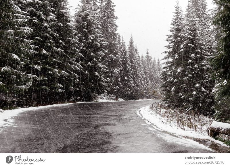 Landschaftliche Ansicht der Straße mit Schnee und Bergen und riesigen Bäumen im Hintergrund in der Wintersaison. Morske Oko Himmel Berge u. Gebirge weiß Riese