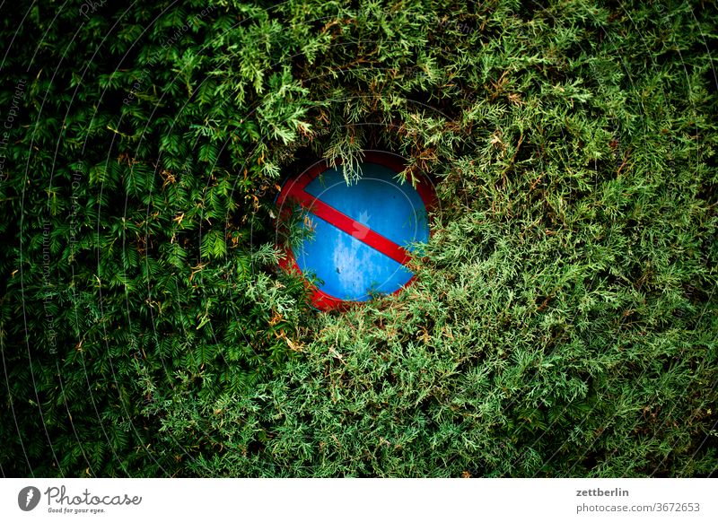 Parkverbot ast baum blume blühen blüte erholung ferien garten gras himmel kleingarten kleingartenkolonie menschenleer natur pflanze rasen ruhe schrebergarten