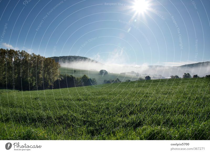 Durstige Sonne Natur Landschaft Pflanze Tier Wasser Himmel Sonnenaufgang Sonnenuntergang Sonnenlicht Frühling Klima Schönes Wetter Nebel Gras Nutzpflanze Feld