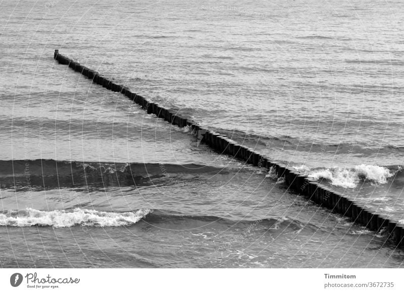 Buhne und Wellen Ostsee Meer Wasser Ferien & Urlaub & Reisen Küste Ostseeküste Buhnen Natur Menschenleer Schwarzweißfoto