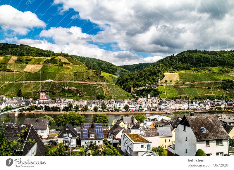 tschüß mosel… Architektur Stadt Wald wandern Natur Ferien & Urlaub & Reisen Außenaufnahme Umwelt Sommer Wolken Himmel Landschaft Menschenleer Farbfoto