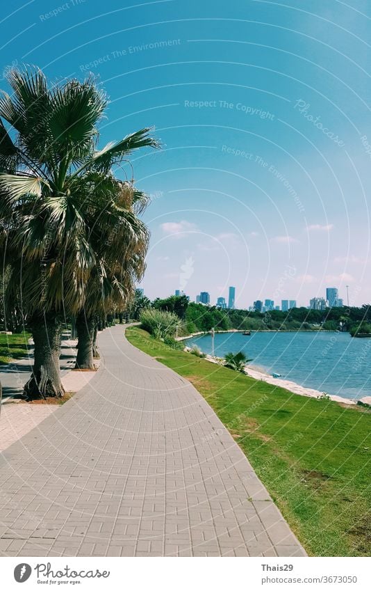 Flussuferansicht der Stadt Tel Aviv, Palmen und grünes Gras, blauer Himmel, sonniger Tag, Israel Mittelmeer mediterran Blauer Himmel malerisch heiß Sonne