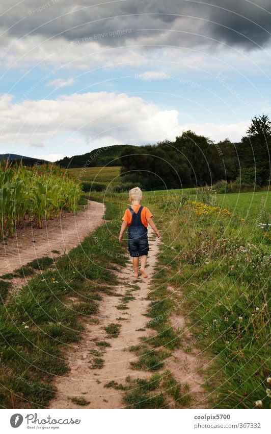 Ich geh dann schon mal Mensch Kind Kleinkind Junge Kindheit 1 3-8 Jahre Natur Landschaft Pflanze Tier Erde Sand Himmel Wolken Sommer Schönes Wetter Sträucher