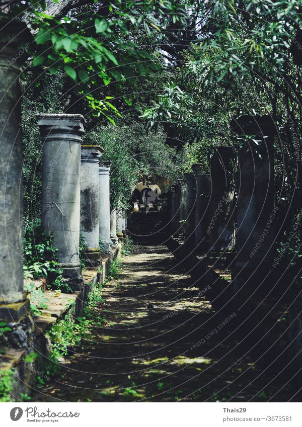 alte Kolonnadensäulen in Reihe stehend, Tunnel mit grünen Bäumen, alte italienische Villa, niemand, Schattenkorridor mit Bogen Italien mediterran Laubengang Weg