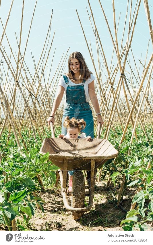 Glückliches Mädchen und Mutter zu Fuß in der Nähe Schubkarre im Garten Spaß haben Tomate Buchse Gartenbau kleben Landschaft Blauer Himmel Kinderbetreuung