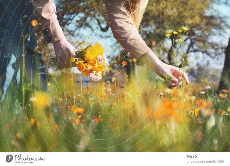 Sommerstrauß Garten Muttertag Mensch Junge Frau Jugendliche Erwachsene 1 13-18 Jahre Kind 18-30 Jahre Frühling Blume Blüte Wiese Blühend Duft Gefühle Stimmung