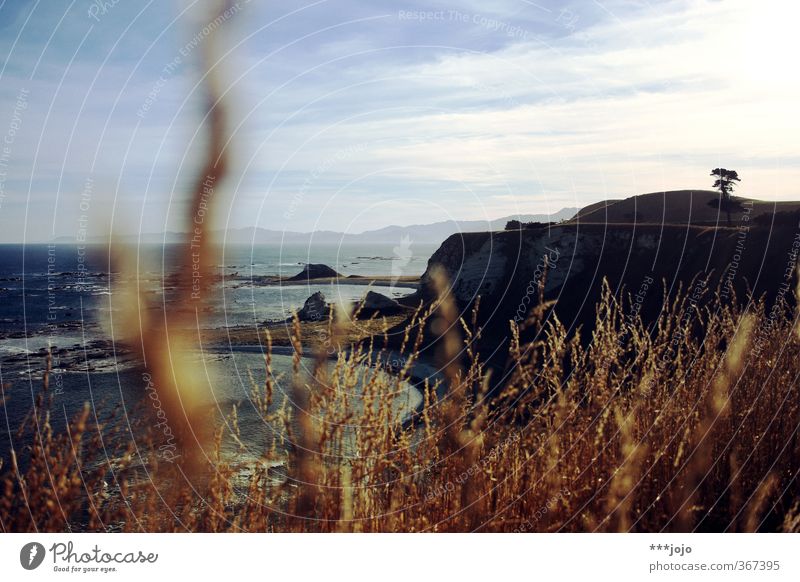 pacific. Landschaft Schönes Wetter Wellen Küste Meer Pazifik Pazifikstrand Kaikoura Neuseeland Fernweh Bucht Gras Graswiese Brandung Klippe