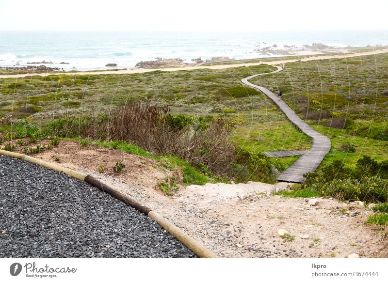 in Südafrika Strandweg in der Nähe des Indischen Ozeans Laufsteg Meer Himmel Weg MEER Natur hölzern Sand Promenade Wasser Küste Urlaub reisen Holz tropisch