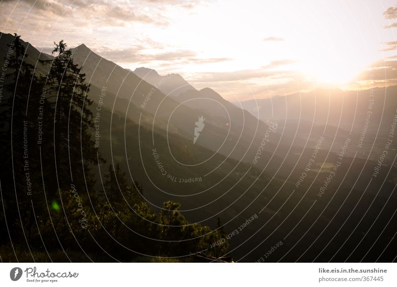 Sonntagmorgen Sinnesorgane Erholung ruhig Ferne Freiheit Berge u. Gebirge wandern Umwelt Natur Landschaft Sommer Schönes Wetter Baum Hügel Felsen Alpen Gipfel