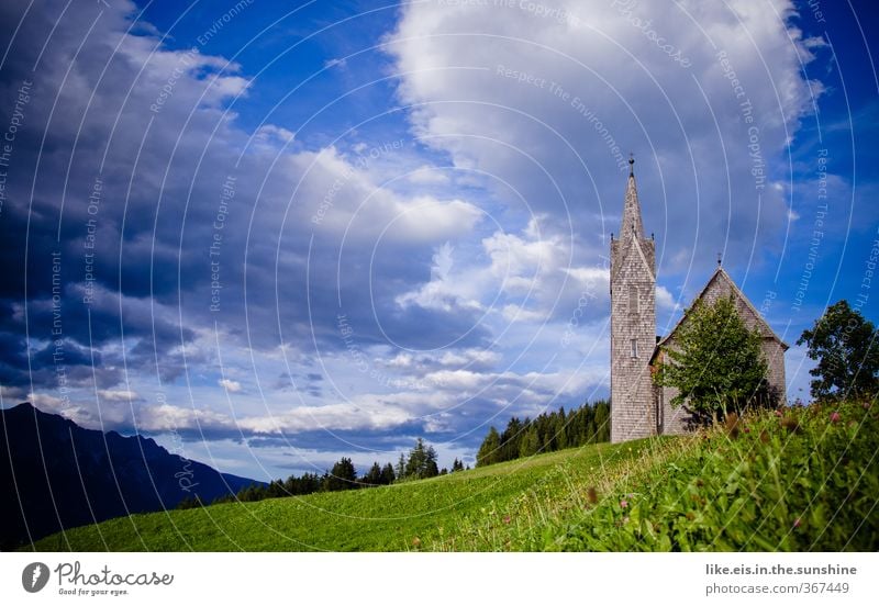 Einzeln sind wir Worte, zusammen.... Sinnesorgane ruhig Meditation Ausflug Umwelt Natur Landschaft Baum Gras Wiese Hügel Alpen Kirche schön Hochzeit Kapelle