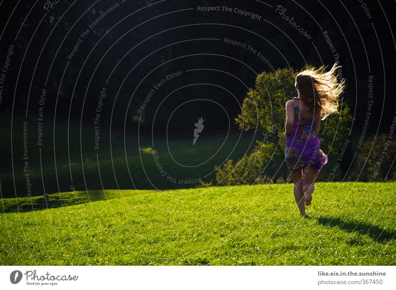 schatz! geh nicht! schön Zufriedenheit Erholung Sommer Sommerurlaub feminin Junge Frau Haare & Frisuren Natur Schönes Wetter Baum Wiese Wald Kleid blond