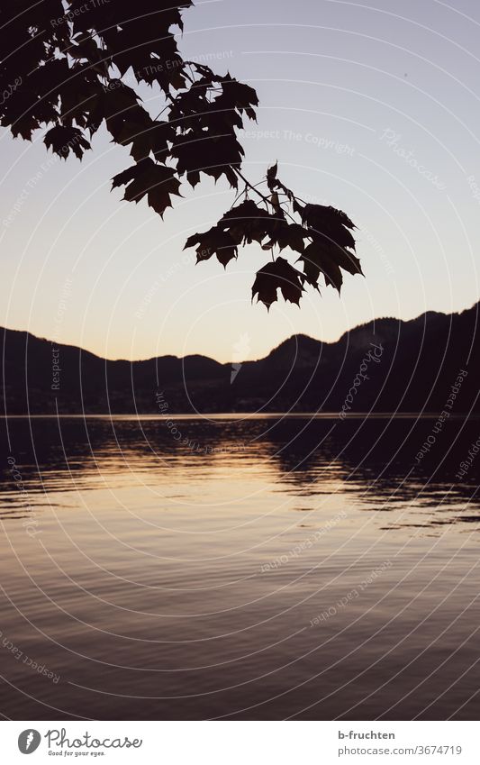 Abend am See, Silhouette von Bergen und Ast eines Baumes Sonnenuntergang Himmel Wasser Natur Reflexion & Spiegelung Dämmerung Landschaft Wolfgangsee Österreich